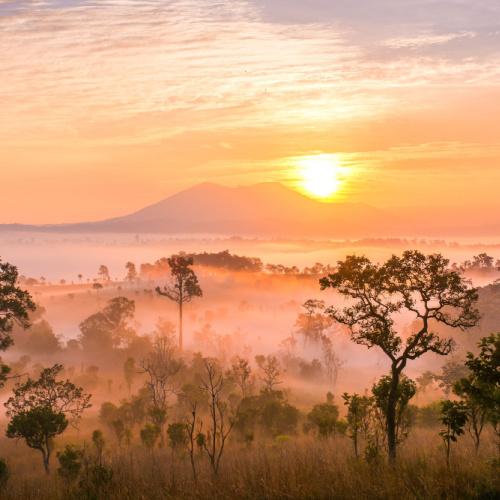 Khao Yai National Park