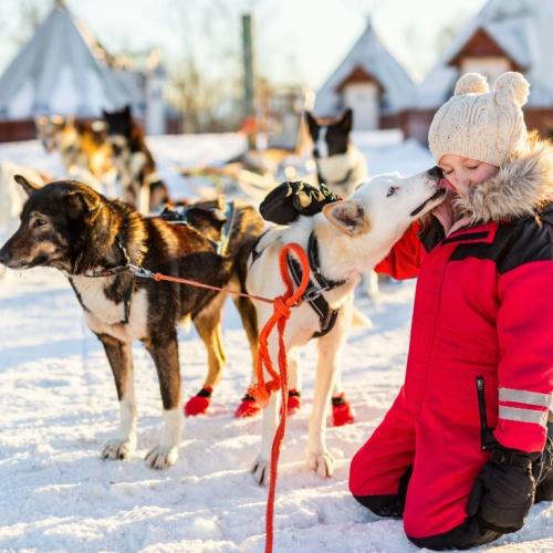 Huskysafari