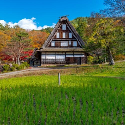 Hida Folk Village 