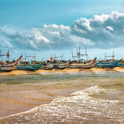 Kleurrijke vissersboten in Beruwala