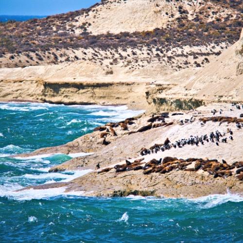 Puerto Madryn