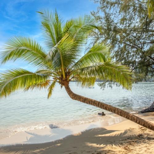 Koh Chang