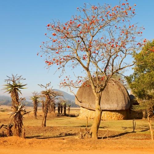 eSwatini