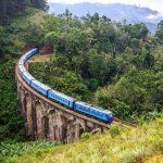 Trein