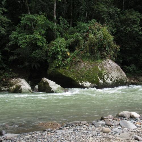 Pejibaye rivier