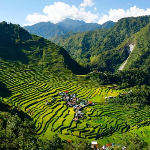 Rijstvelden Banaue