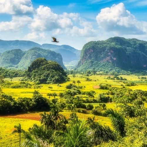 Viñales vallei, mogotes