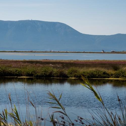 Neretva-delta