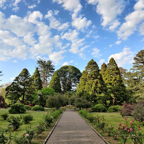 Botanische tuin. Batumi