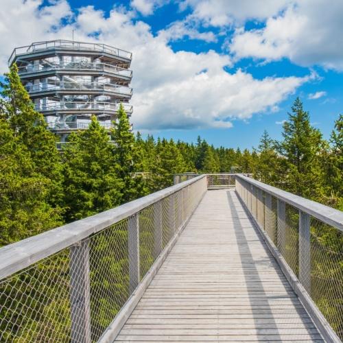 Maribor, Treetop Walk Pohorje