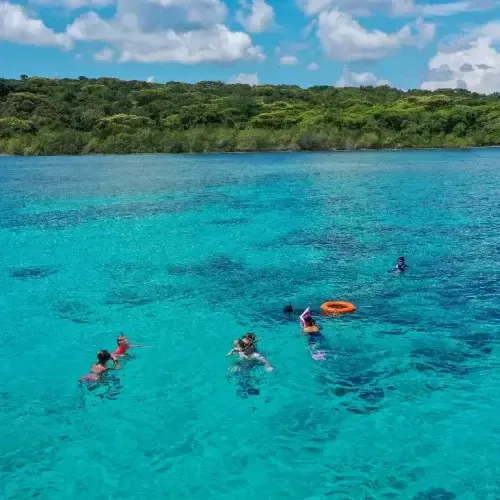 Snorkelen bij Menjangan eiland