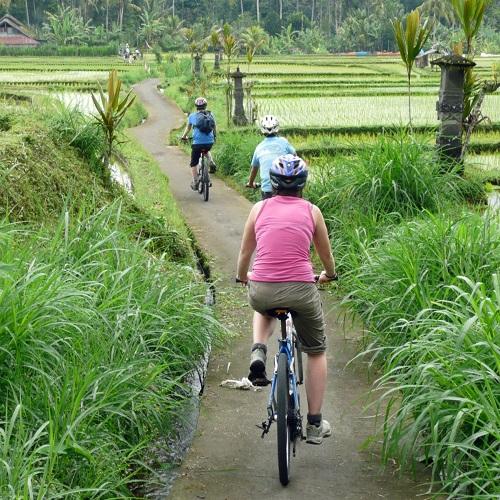 Fietstocht door rijstvelden van Indonesië
