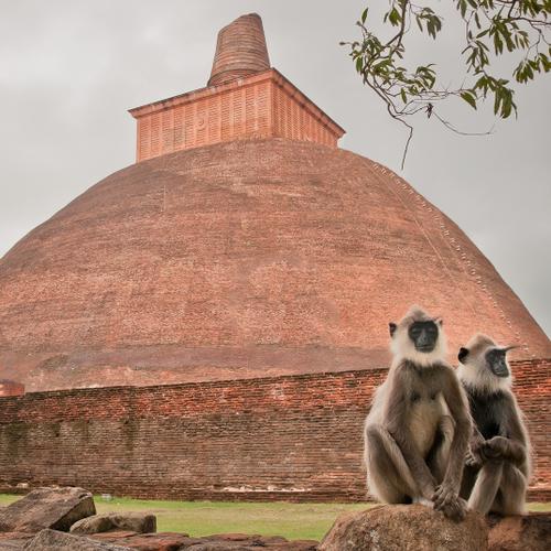 Anuradhapura