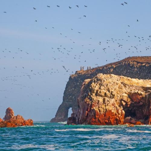 Rotsen en veel vogels Ballestas islands