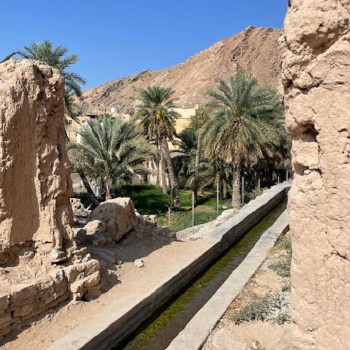 Falaj irrigatiesysteem in Birkat al Mouz