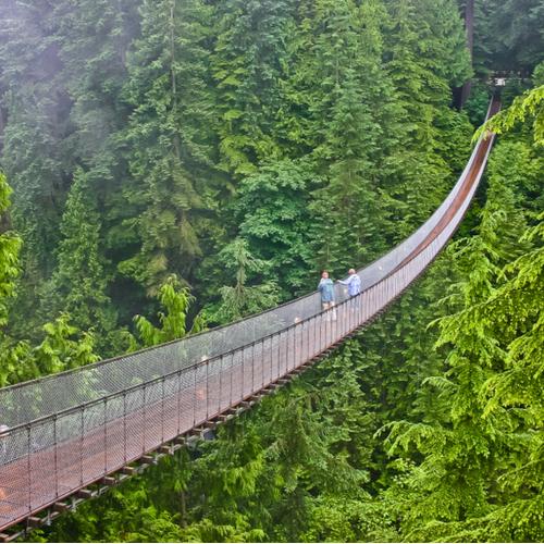 Capilano Suspension Bridge