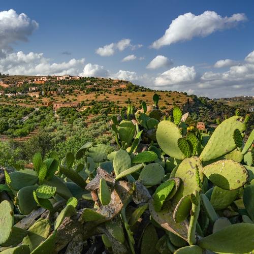 Uitzicht over Agrigento vanaf de Valle dei Templi