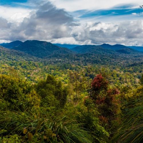 Taman Negara, uitzicht Teresek Hill