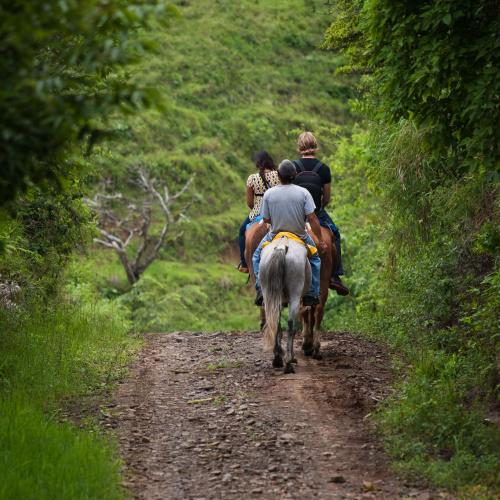 Sarapiquí, paardrijden 