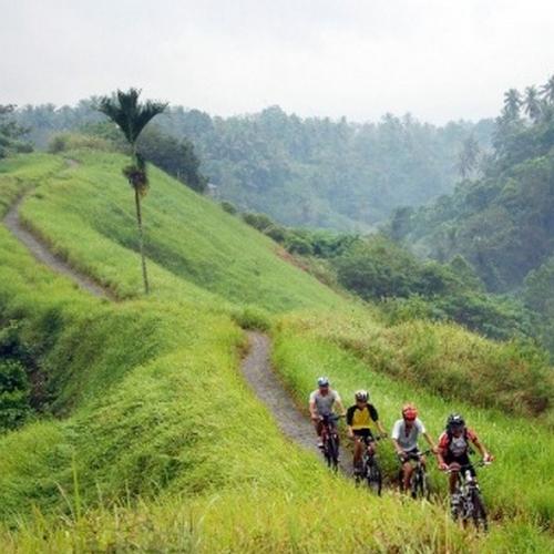 mountainbiken