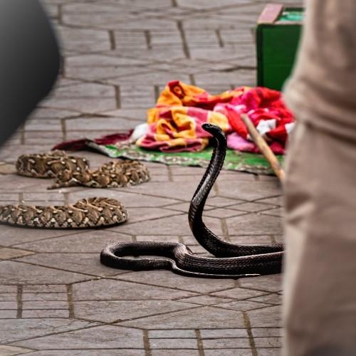 Marrakech, Djemaa el Fna plein