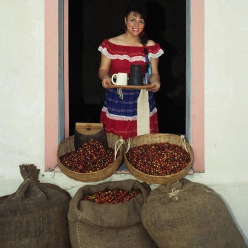 Gourmetkoffie uit El Salvador