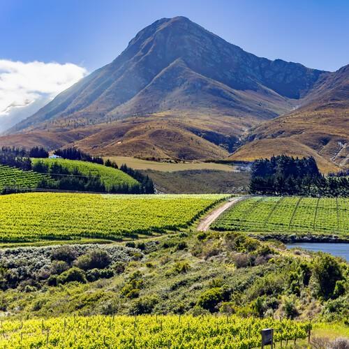 Vineyard safari en wijnproeverij in Hermanus