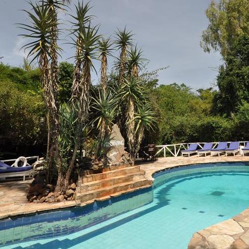 Fig Tree Camp, zwembad