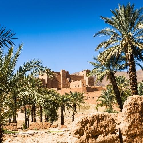 Zagora, palmenoase