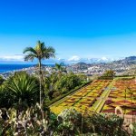 Botanische tuin - Monte