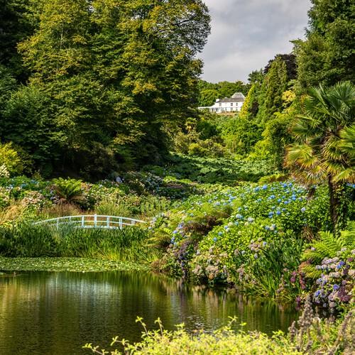 Trebah Garden