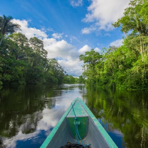 Cuyabeno, Amazone
