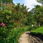 Nationaal park Volcán Arenal