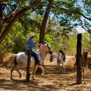 Short horseback tour Rincon
