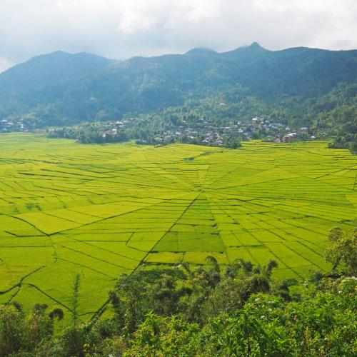 Cancar Spiderweb ricefields, Flores