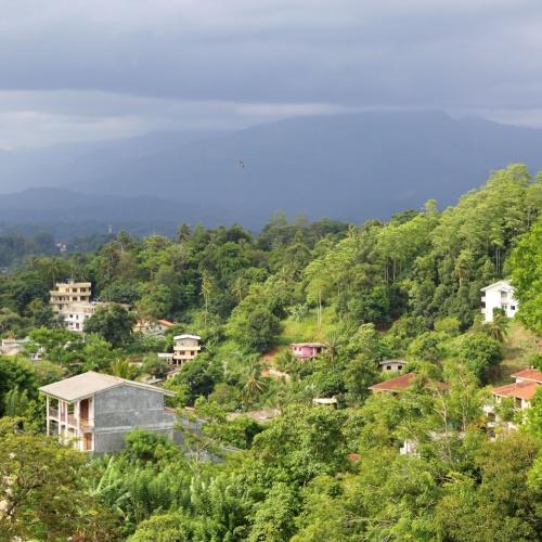 De jungle-achtige omgeving van Kandy