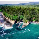 Pacific Rim Area