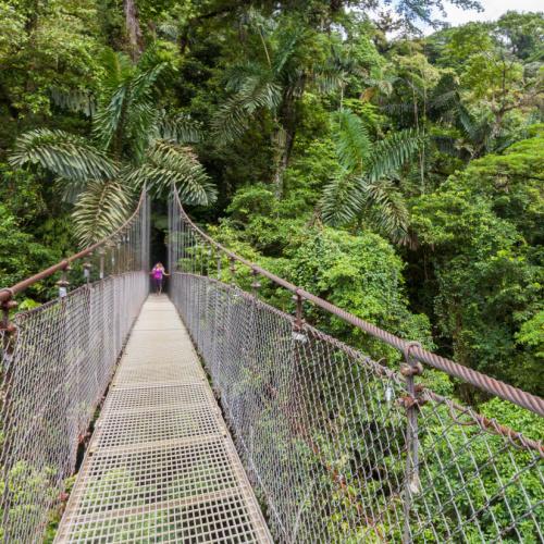 Hangbruggen, La Fortuna 