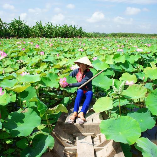 Mekong Delta