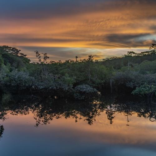Houttuyn, Suriname