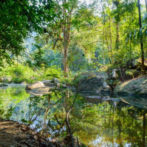 Khao Sok National Park