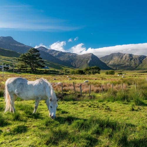 Connemara National Park