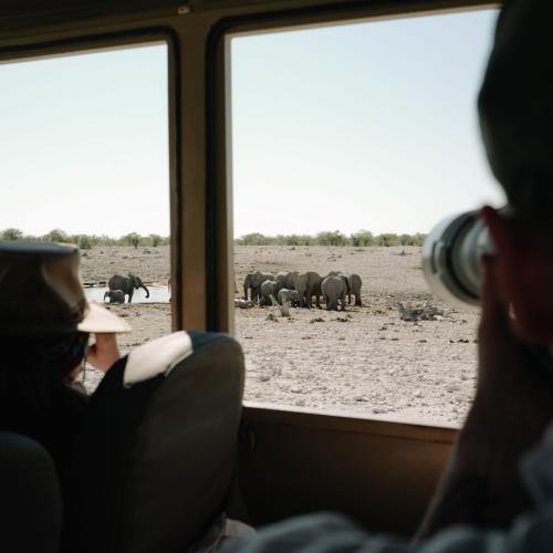 Safari in Etosha Nationaal Park