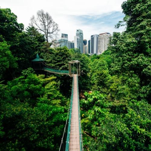 Kuala Lumpur, Forest Eco-Park