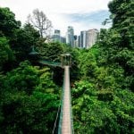Kuala Lumpur, Forest Eco-Park