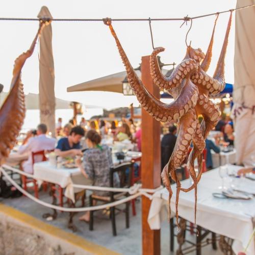 Octopus, Santorini