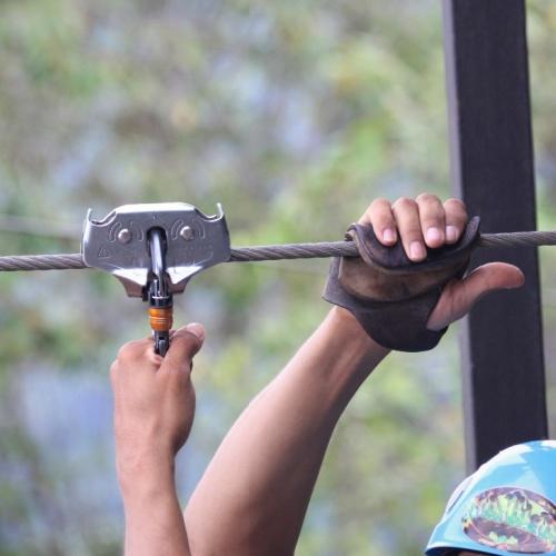 Canopy Tour