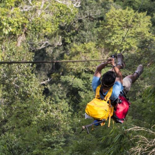 Ziplinen in Monteverde