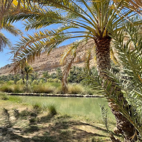 Wadi Bani Khalid