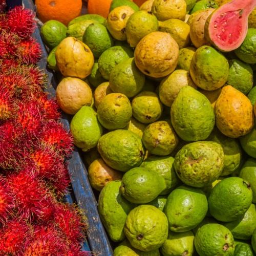 Costa Rica